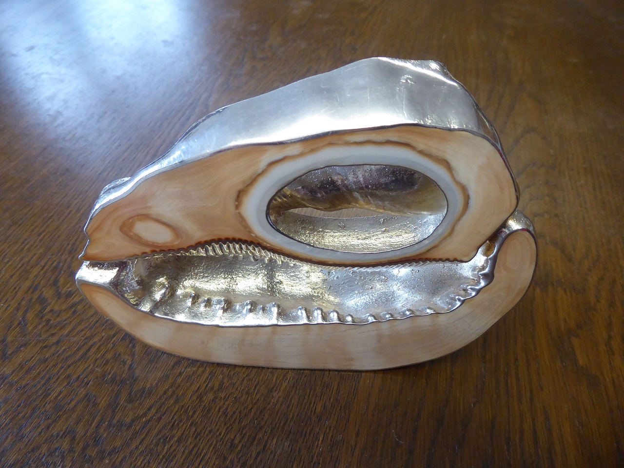 A Ross Somerville Morgan Silver Fossil Shell